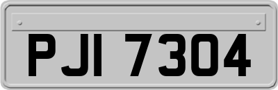 PJI7304