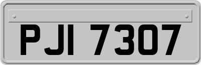 PJI7307