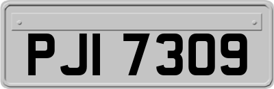 PJI7309