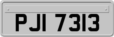 PJI7313
