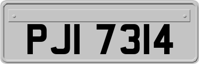 PJI7314