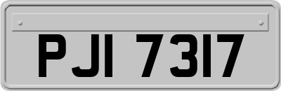 PJI7317