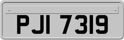 PJI7319
