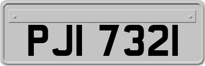 PJI7321
