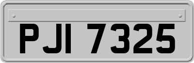 PJI7325