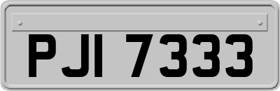 PJI7333