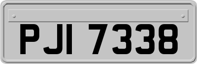 PJI7338