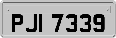 PJI7339
