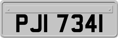 PJI7341