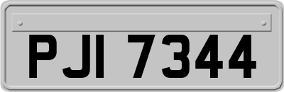 PJI7344
