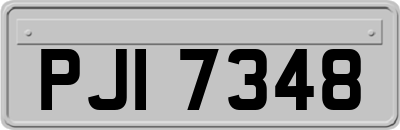 PJI7348
