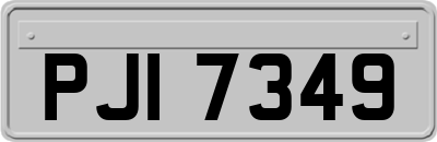 PJI7349