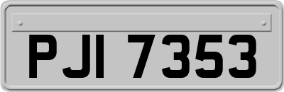 PJI7353