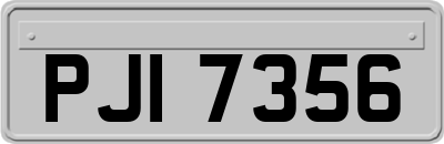 PJI7356