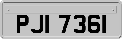 PJI7361