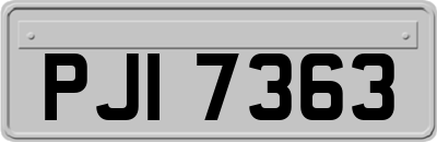 PJI7363