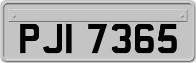 PJI7365