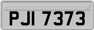 PJI7373