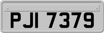PJI7379