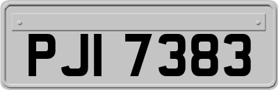 PJI7383