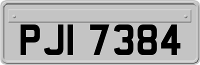 PJI7384