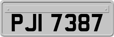 PJI7387