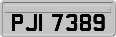 PJI7389