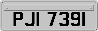 PJI7391