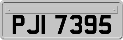PJI7395