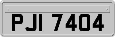 PJI7404
