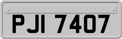 PJI7407