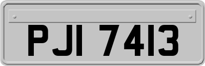 PJI7413