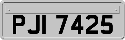 PJI7425