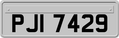 PJI7429
