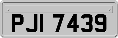 PJI7439