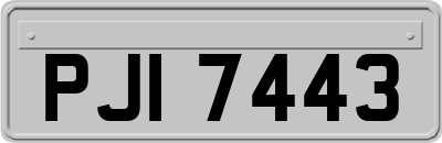 PJI7443