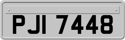 PJI7448