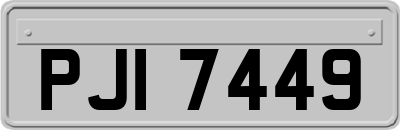 PJI7449