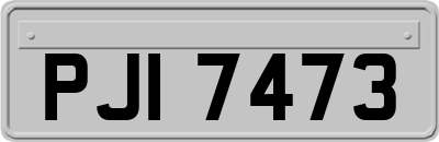 PJI7473