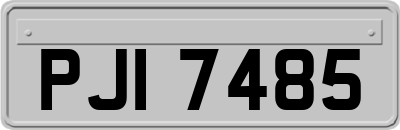 PJI7485