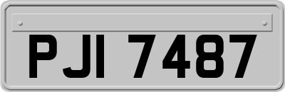 PJI7487
