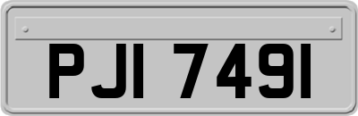 PJI7491