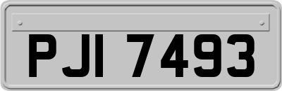 PJI7493