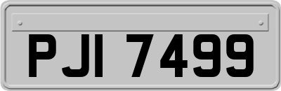 PJI7499