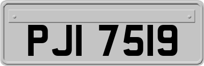 PJI7519