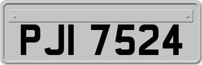 PJI7524