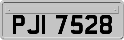 PJI7528