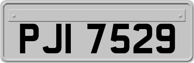 PJI7529
