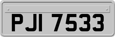 PJI7533