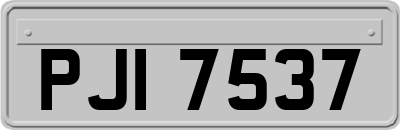 PJI7537